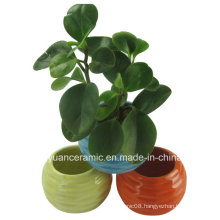 Color Round Shape Small Ceramic Jar for Growing Flowers